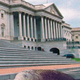 The manatee slowly works its way up the steps of the Capitol.